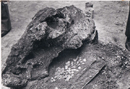 Pompei, Casa del Bracciale d’oro. Gruzzolo di monete fuoriuscito dalle vesti del calco della donna, al momento della scoperta. SSBANP/AF, Neg 4752